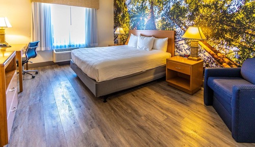 Habitación, 1 cama de matrimonio grande, accesible para personas con discapacidad, no fumadores
