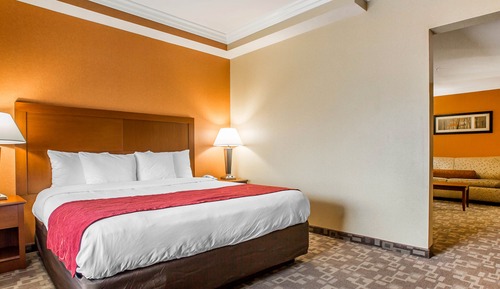 Suite Deluxe, 1 cama de matrimonio grande con sofá cama, no fumadores (Living Room)