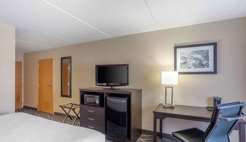 Suite, 1 cama de matrimonio grande, no fumadores (No Pets in room type;with Sofabed)
