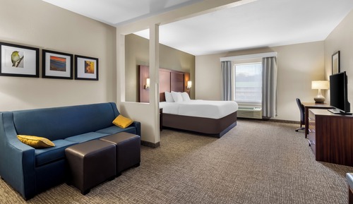 Suite, 1 King Bed with Roll-in Shower