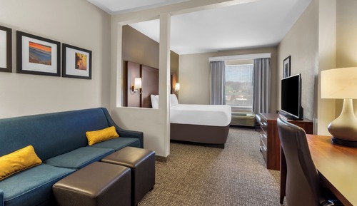 Suite, 1 King Bed and Sofa Bed