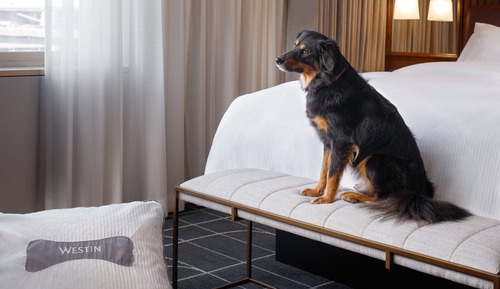 Habitación Deluxe, 1 cama de matrimonio grande