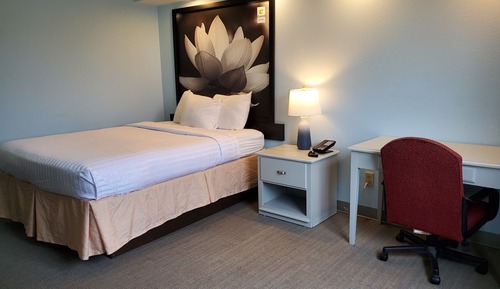 Habitación estándar, 1 cama de matrimonio