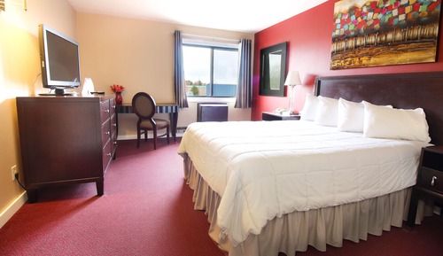 Habitación estándar, 1 cama de matrimonio grande