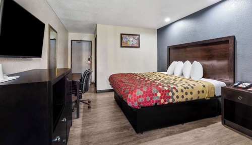Habitación estándar, 1 cama de matrimonio grande, no fumadores