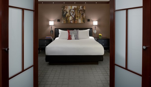 Suite de lujo, 1 habitación