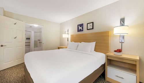 Suite estudio, 1 cama de matrimonio grande, accesible para personas con discapacidad (Hearing)