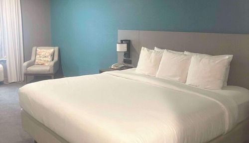 Habitación estándar, 1 cama de matrimonio grande, no fumadores