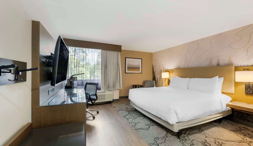Habitación estándar, 1 cama de matrimonio grande, no fumadores, frigorífico y microondas