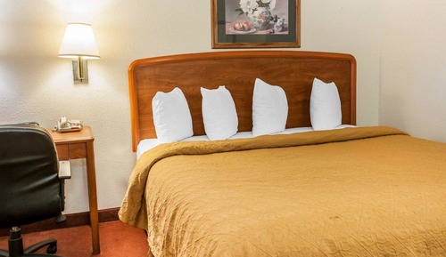 Habitación estándar, 1 cama de matrimonio grande, no fumadores