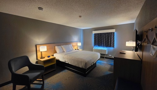 Room, 1 Queen Bed, Mobility Accessible, Non Smoking (Roll-in Shower)