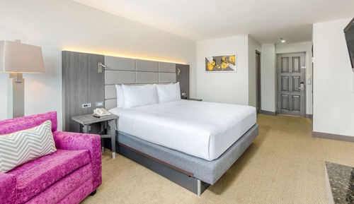 Habitación Premium, 1 cama de matrimonio grande