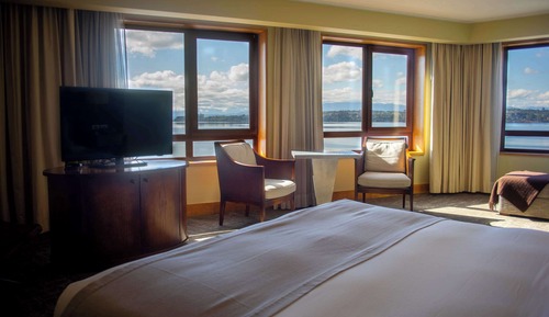 Estudio Premium, 1 cama de matrimonio grande, no fumadores, vistas al lago
