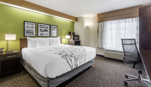 Standard Room, 1 King Bed, Non-Smoking, Refrigerator & Microwave 
