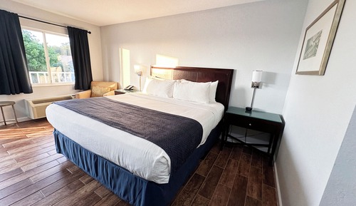 Habitación estándar, 1 cama de matrimonio grande, no fumadores