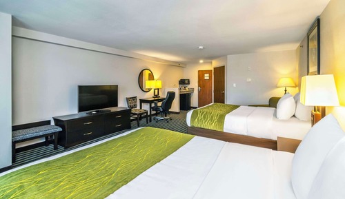 Habitación estándar, 2 camas de matrimonio, no fumadores