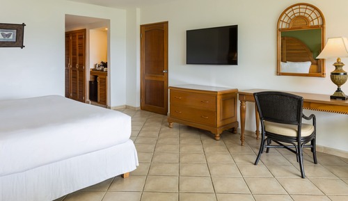 Habitación estándar, 1 cama de matrimonio, vistas al jardín