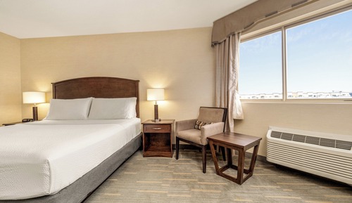 Habitación estándar, 1 cama de matrimonio grande