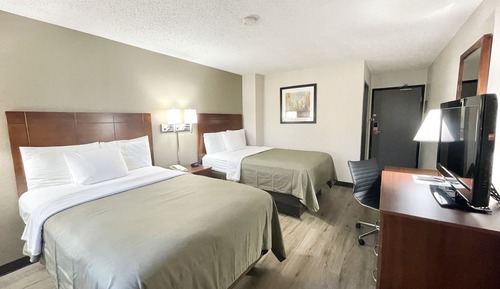 Habitación estándar, 2 camas de matrimonio, no fumadores