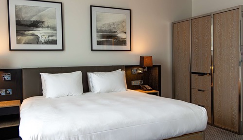 Habitación ejecutiva, 1 cama de matrimonio grande, acceso al Business Lounge
