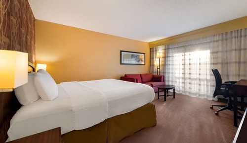 Suite superior, 1 cama de matrimonio grande con sofá cama (One Bedroom)