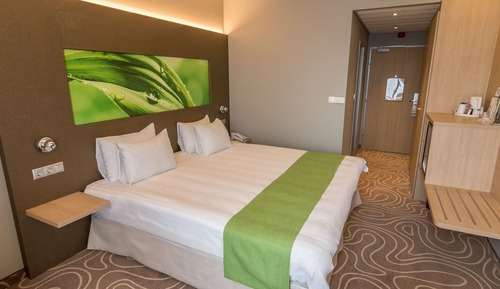 Habitación estándar, 1 cama de matrimonio grande