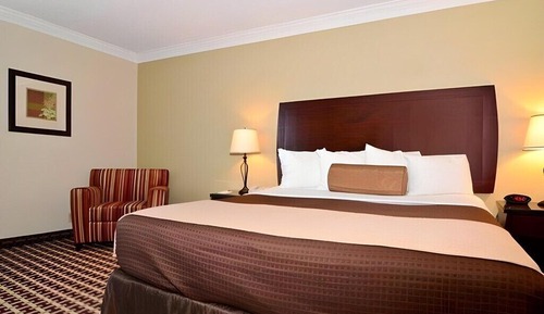 Suite estudio Deluxe, 1 cama de matrimonio grande, no fumadores