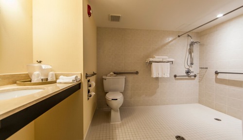Habitación estándar, 1 cama de matrimonio grande (Mobility, Roll-In Shower)