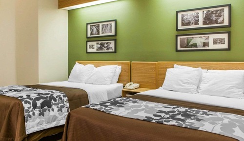 Habitación estándar, 2 camas de matrimonio, no fumadores
