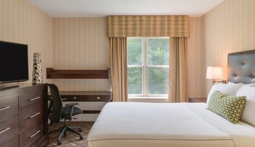 Suite estudio ejecutiva, 1 cama de matrimonio con sofá cama