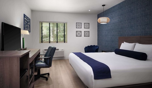 Habitación estándar, 1 cama de matrimonio grande, no fumadores, frigorífico y microondas