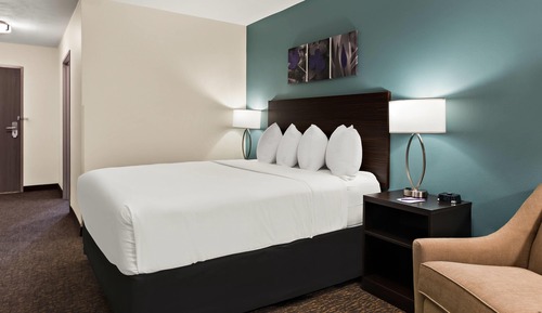 Habitación estándar, 1 cama de matrimonio, no fumadores