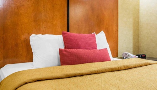 Habitación estándar, 1 cama de matrimonio, no fumadores