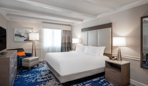 Suite, 1 cama de matrimonio grande