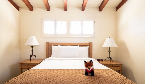 Suite, 1 cama de matrimonio (Tamarisk Casita - 1 Queen Bed with Pr)