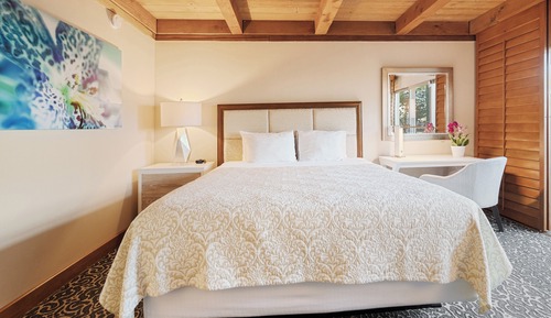 Habitación estándar, 1 cama de matrimonio grande (Tropical)