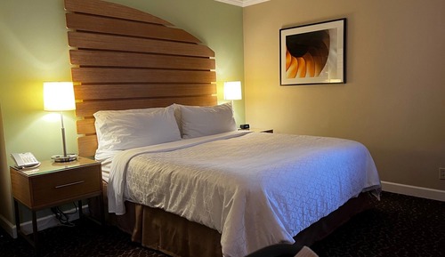 Habitación estándar, 1 cama de matrimonio grande