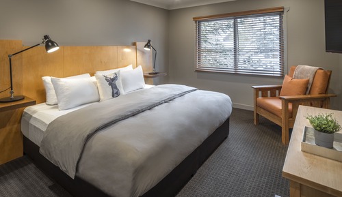 Suite superior, 1 cama de matrimonio grande con sofá cama, cocina básica (Buffalo Suite)