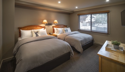 Suite superior, varias camas, cocina básica (Buffalo Suite)