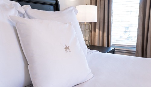 Suite, baño privado (Madison - Guest Suite)