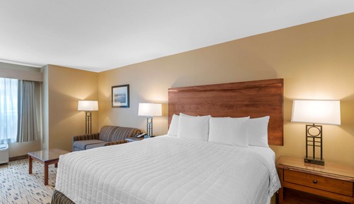 Habitación estándar, 1 cama de matrimonio grande, frigorífico y microondas, sin vistas