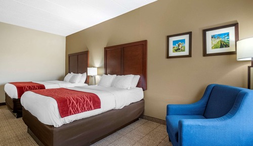 Habitación estándar, 2 camas de matrimonio