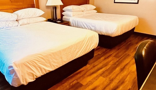 Habitación estándar, 2 camas de matrimonio (Pet Friendly)