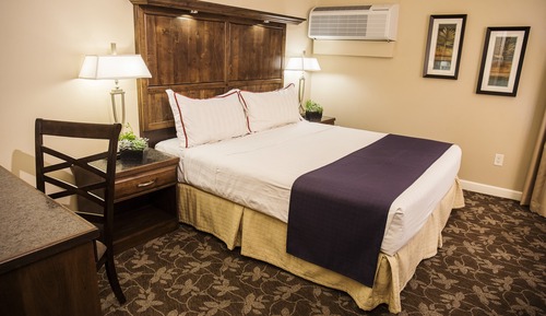 Suite, 1 cama de matrimonio grande con sofá cama (Lakewood)