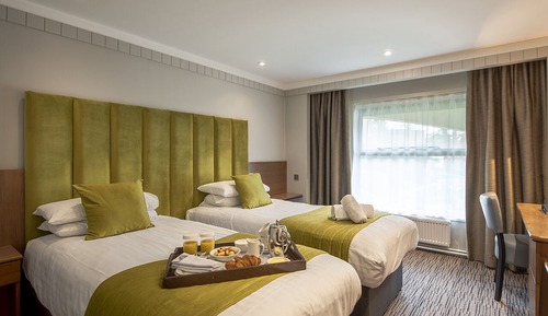 Habitación estándar con 2 camas individuales