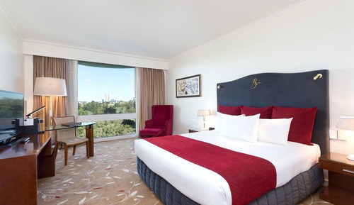 Habitación Premium, 1 cama de matrimonio grande, vistas al parque