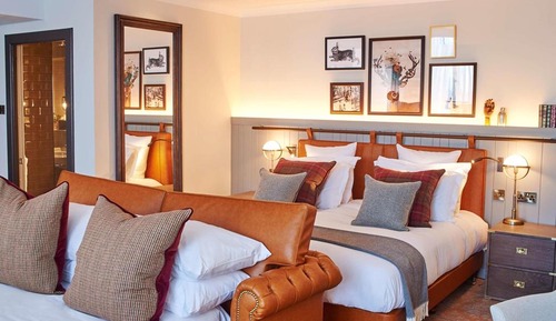 Habitación Premium, 1 cama de matrimonio grande con sofá cama
