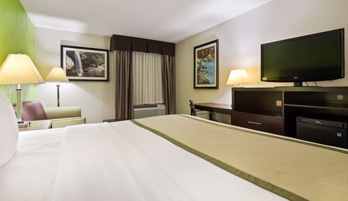 Habitación estándar, 1 cama de matrimonio grande, fumadores, frigorífico