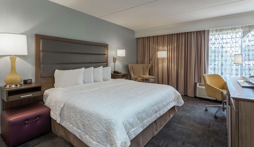 Habitación, 1 cama de matrimonio grande, accesible para personas con discapacidad, no fumadores