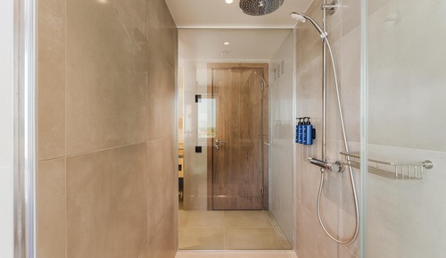 Suite presidencial (with VIP SPA access)
